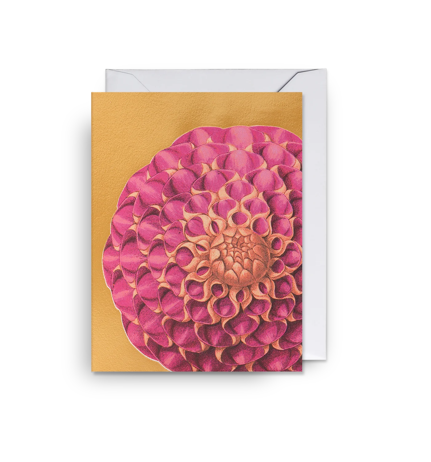 Kew Gardens - Dahlia