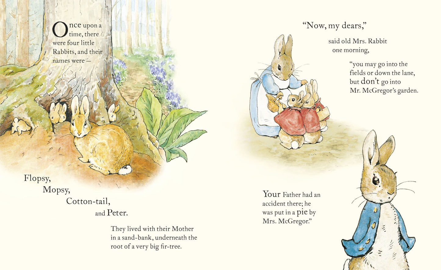 The Tale of Peter Rabbit