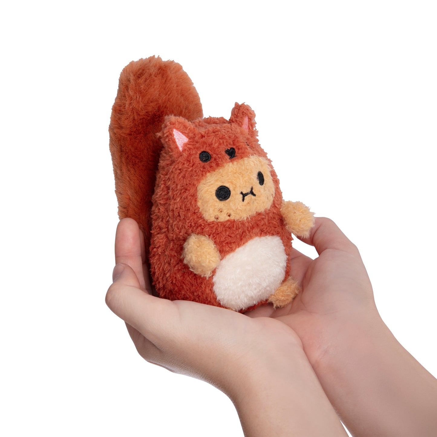 Red Squirrel Ricespud