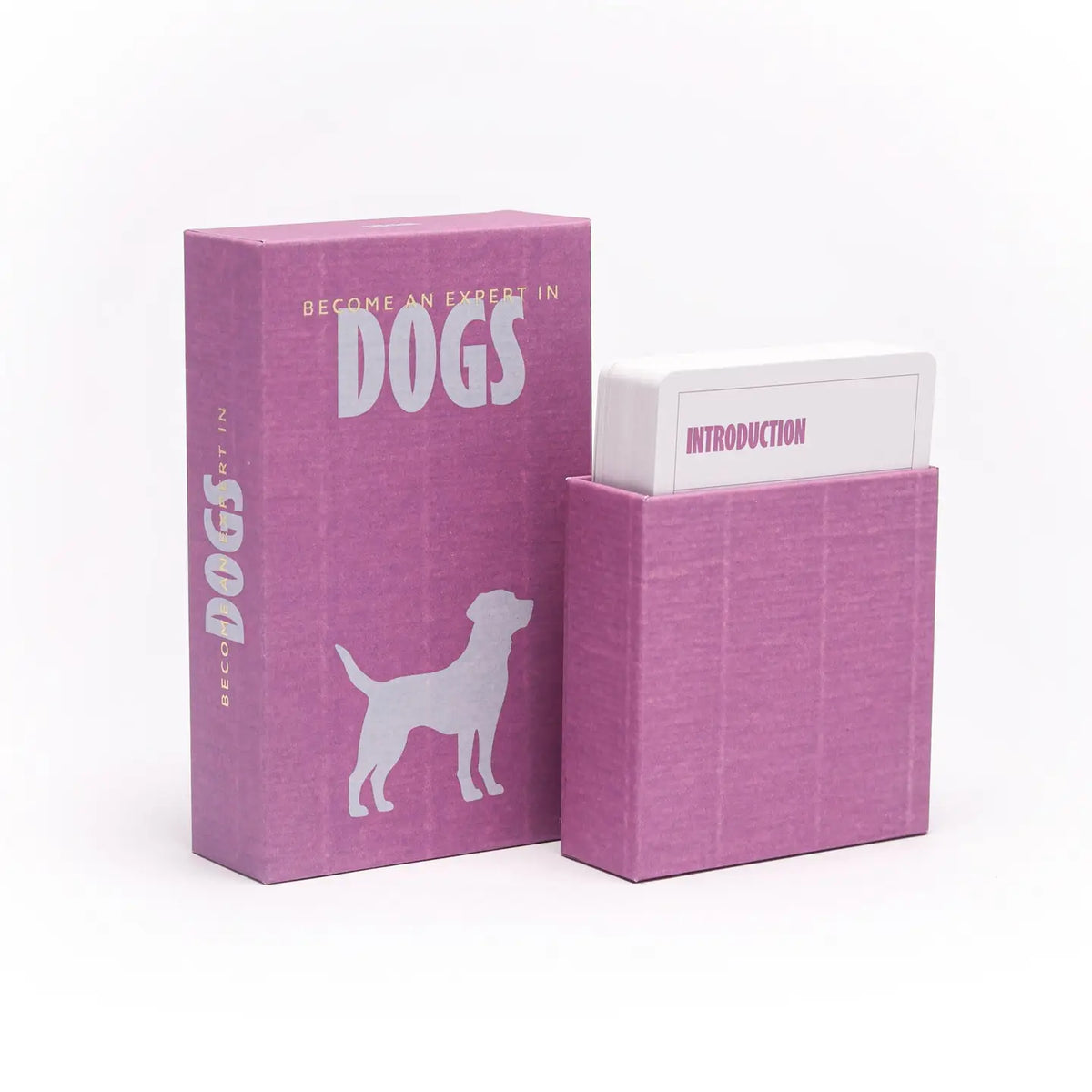 Become and Expert in Dogs