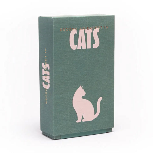 Become an Expert in Cats