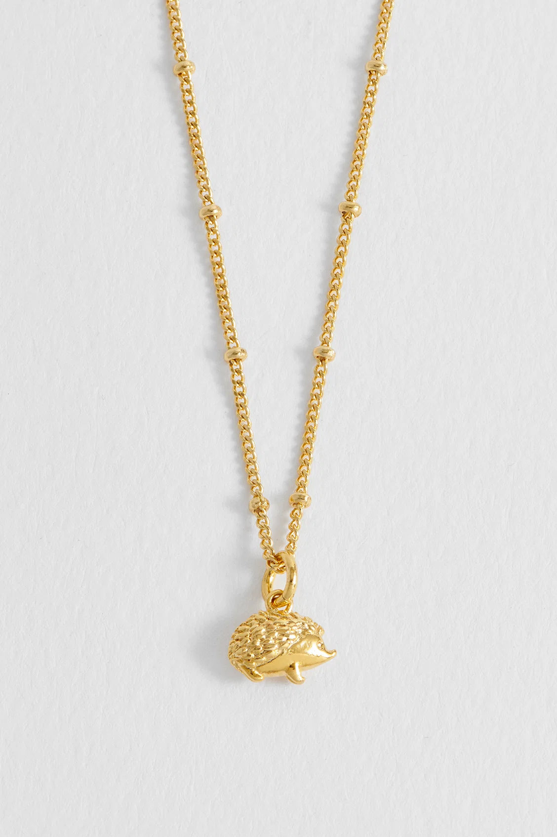 Sending Hedgehugs Necklace