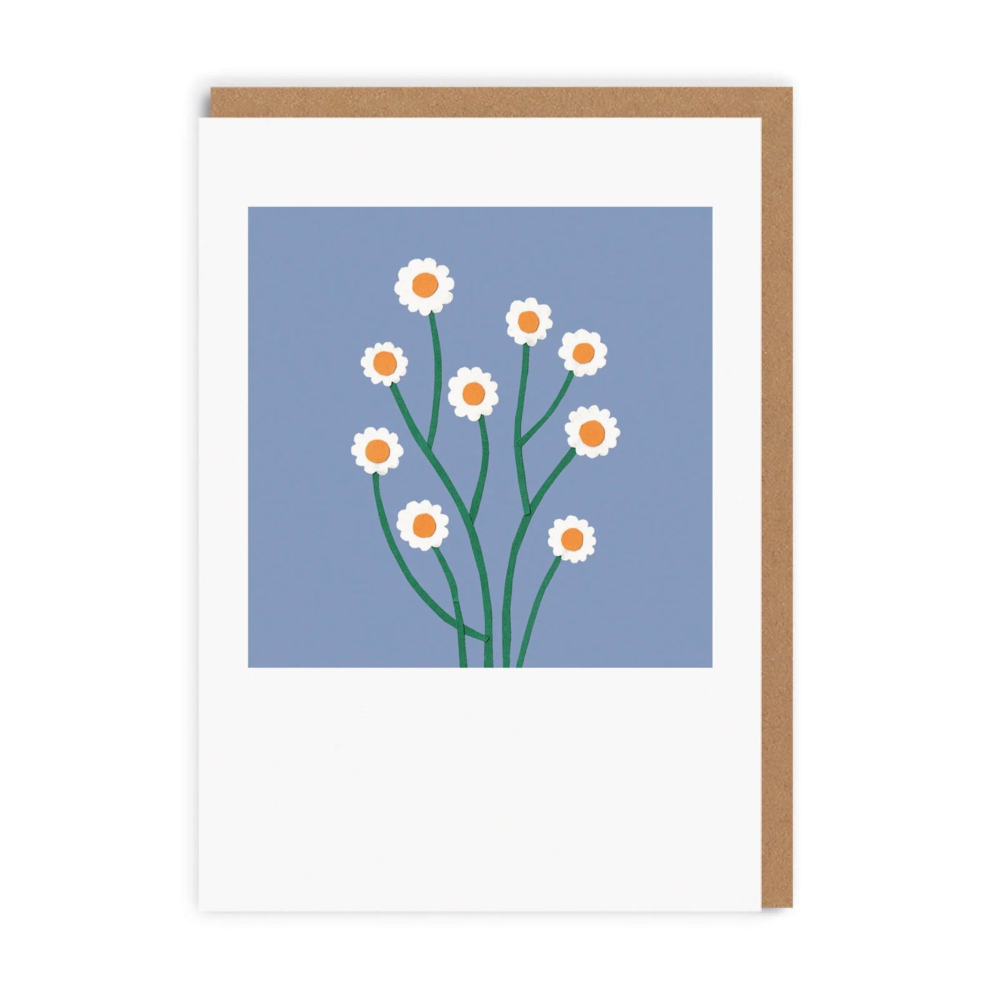 Daisies Card