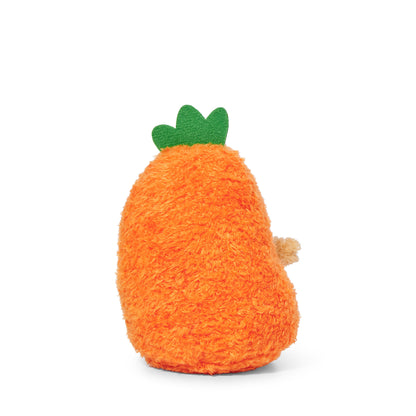 Carrot Ricespud