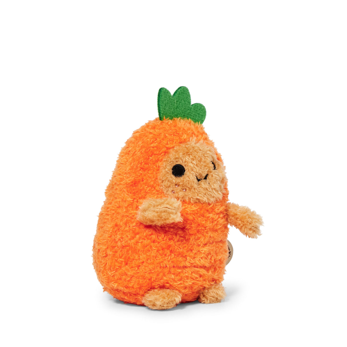 Carrot Ricespud