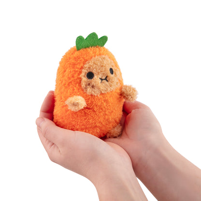 Carrot Ricespud
