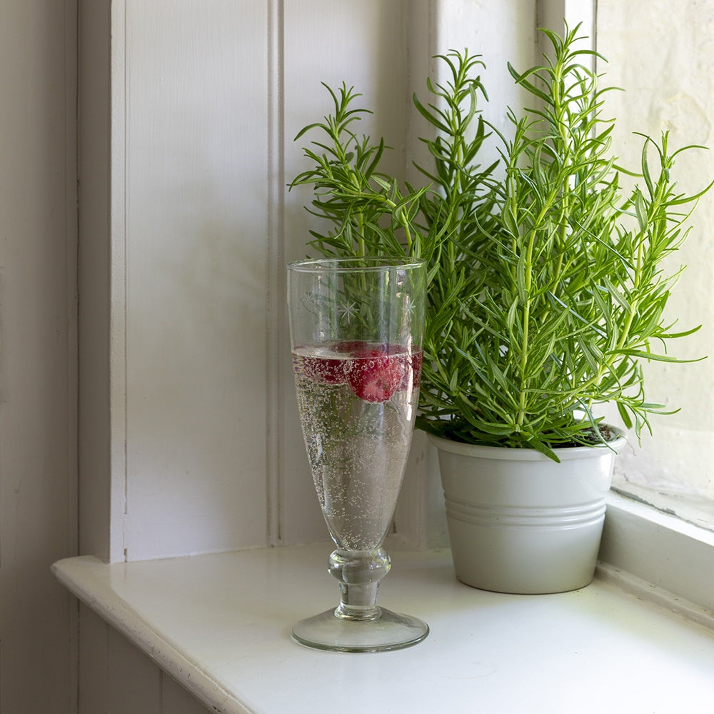 Etched Stars Champagne Glass